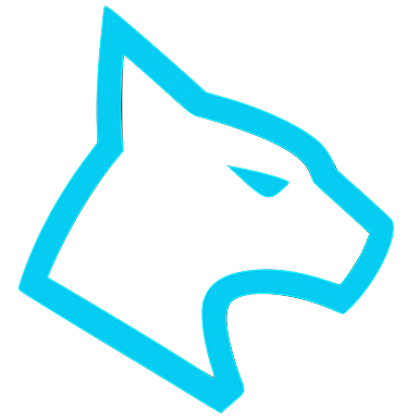 We Send Tech - Project - Lynx Ops